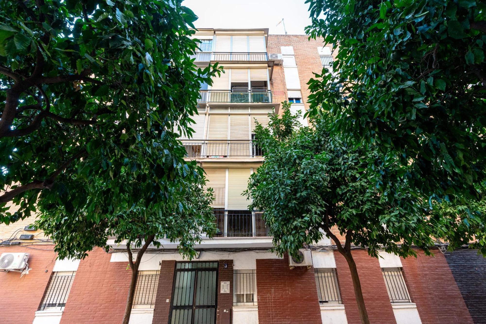 Piso Elegante Y Nuevo De 3 Habitaciones Y 2 Banos Sevilla Buitenkant foto