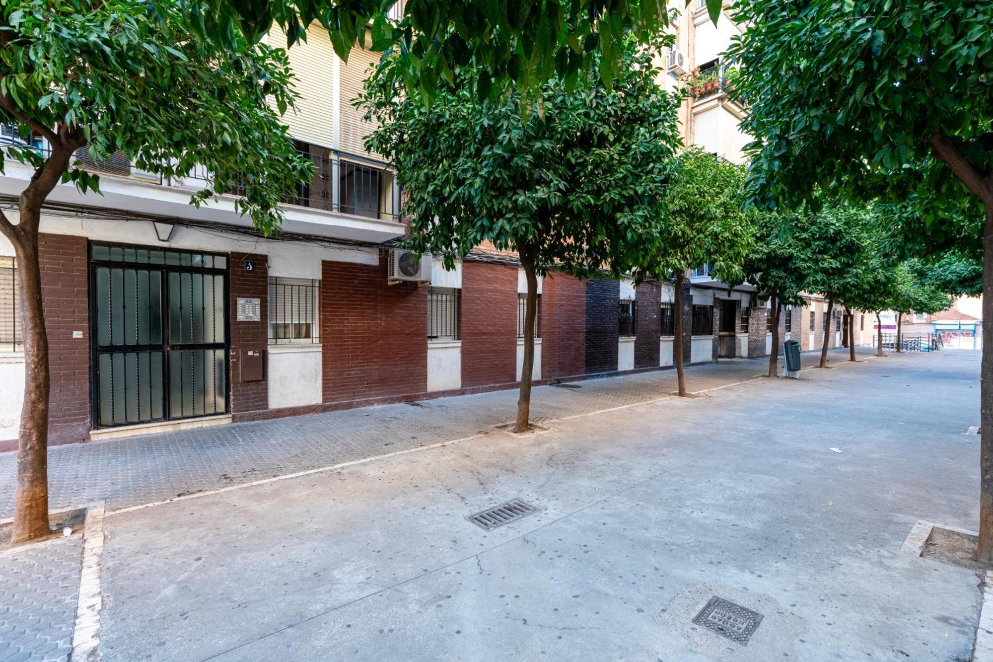 Piso Elegante Y Nuevo De 3 Habitaciones Y 2 Banos Sevilla Buitenkant foto